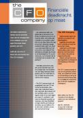 Flyer # 18810 voor Ontwerp van factsheet voor The CFO Company wedstrijd