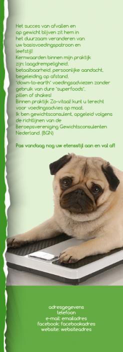 Flyer, (Toegangs)Kaart # 727510 voor Wie kan mij helpen om Praktijk Zo-vitaal! op de kaart te zetten? wedstrijd