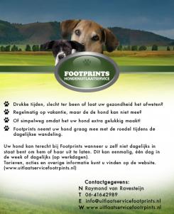 Flyer # 133419 voor Footprints Hondenuitlaatservice Flyer wedstrijd