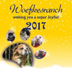 Flyer, (Toegangs)Kaart # 658091 voor Kerst / Nieuwjaarskaart met onze bedrijfskleuren wedstrijd