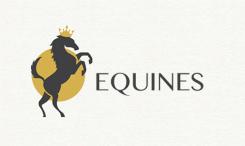 Logo # 1109246 voor Bedrijfsnaam en logo voor startend bedrijf in de paardensport wedstrijd