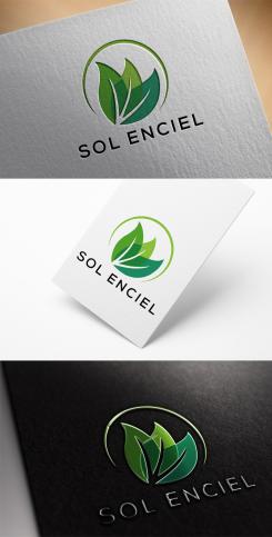 Logo design # 1200922 for Solenciel  ecological and solidarity cleaning contest