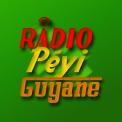 Logo design # 402421 for Radio Péyi Logotype contest