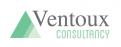 Logo # 179342 voor logo Ventoux Consultancy wedstrijd