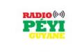 Logo # 402346 voor Radio Péyi Logotype wedstrijd