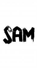 Logo design # 607345 for Design a logo for the DJ & Producer Sam Void  contest