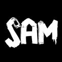 Logo design # 607346 for Design a logo for the DJ & Producer Sam Void  contest