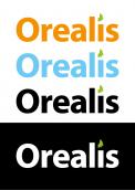 Logo # 372675 voor Logo voor Orealis wedstrijd