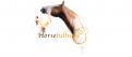 Logo # 491146 voor Krachtig logo voor website Horsefulness, over paarden trainen wedstrijd