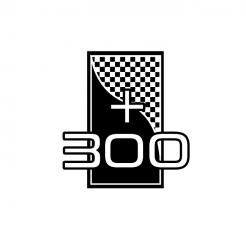 300x300