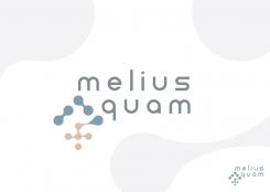 Logo # 104030 voor Melius Quam wedstrijd