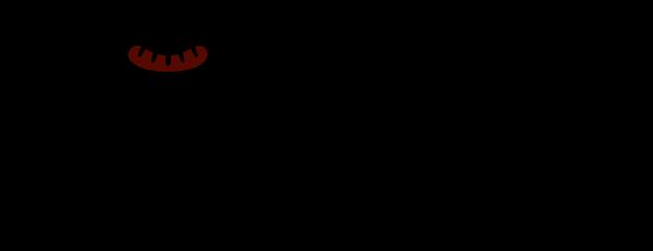 300x300