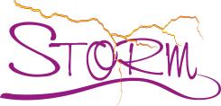 Logo # 69581 voor STORM zoekt fris logo wedstrijd