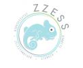 Logo # 367869 voor Logo ontwerp voor ZZESS  wedstrijd