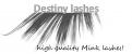 Logo design # 486294 for Design Destiny lashes logo contest