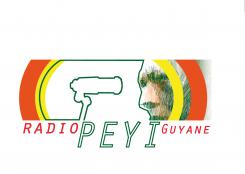 Logo # 400729 voor Radio Péyi Logotype wedstrijd
