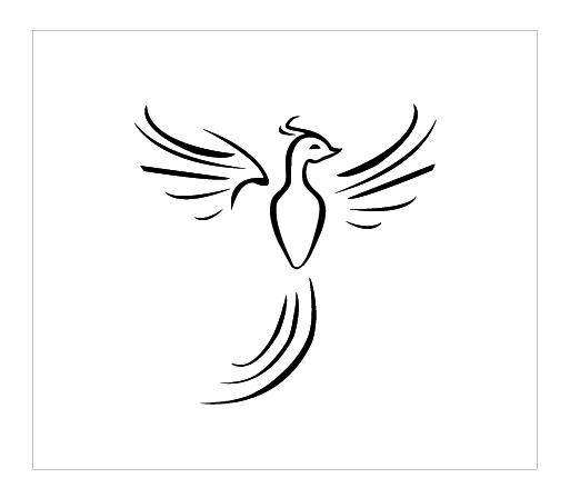 300x300