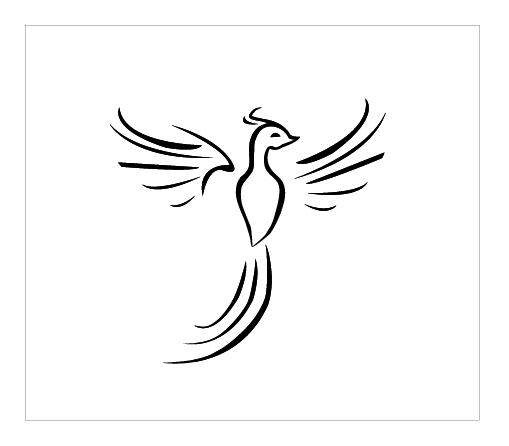 300x300