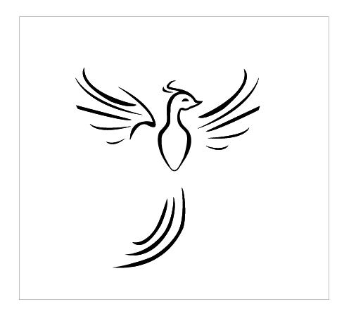 300x300