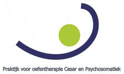 Logo # 140938 voor Logo voor oefentherapeut wedstrijd