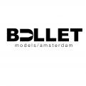 Logo design # 546952 for New Logo Bullet Models Wanted contest