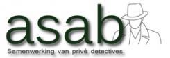 Logo # 247039 voor Ontwerp een logo voor een startende samenwerking tussen verschillende privé detectives wedstrijd