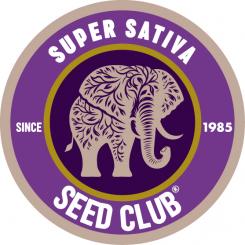 300x300