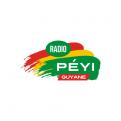 Logo # 402351 voor Radio Péyi Logotype wedstrijd