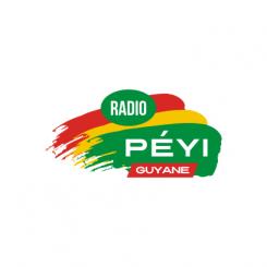 Logo # 402351 voor Radio Péyi Logotype wedstrijd