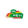 Logo # 402352 voor Radio Péyi Logotype wedstrijd