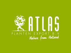 Logo design # 544360 for Flowers from Holland like to go abroad ! contest