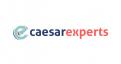 Logo # 517504 voor Caesar Experts logo design wedstrijd