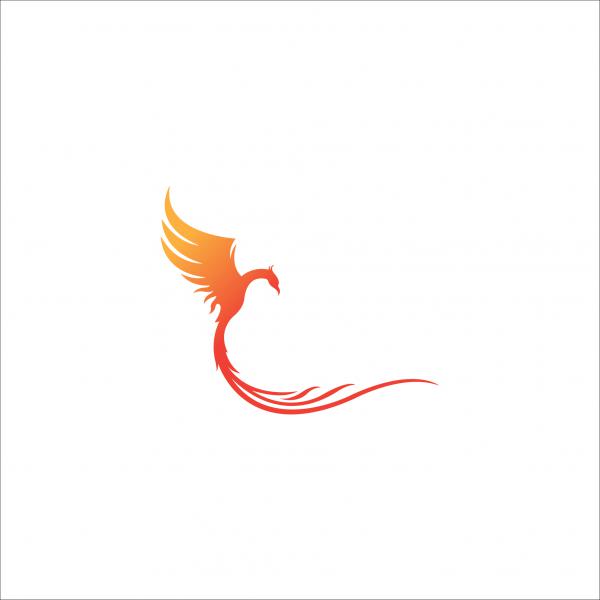 300x300