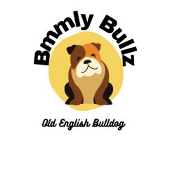 Logo design # 1215502 for Design a cool compact logo for a Old English Bulldog kennel  Bemmely Bullz contest