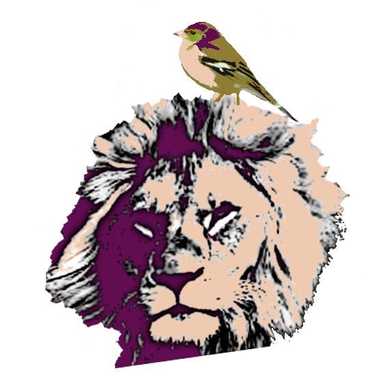 300x300