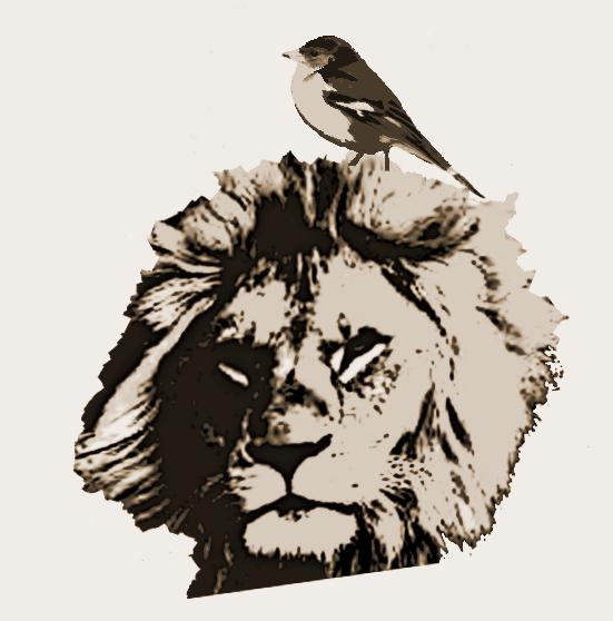 300x300