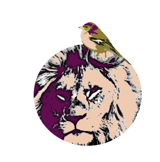 300x300