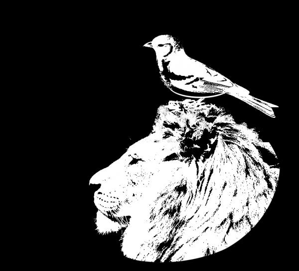 300x300
