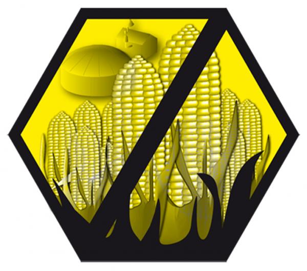 300x300