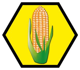 300x300