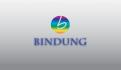 Logo design # 626961 for logo bindung contest