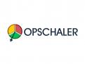 Logo # 605930 voor Logo voor project OPSCHALER over datagebruik uit slimme meters wedstrijd