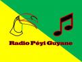 Logo # 402194 voor Radio Péyi Logotype wedstrijd