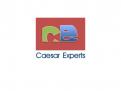Logo # 517622 voor Caesar Experts logo design wedstrijd