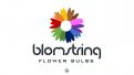 Logo # 1079313 voor Logo gezocht voor Blomstring  een nieuwe webshop voor de mooiste bloembollen wedstrijd