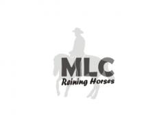 Logo design # 81678 for Logo for a Quarter Horses breeding for international Reining competition   contest
