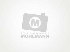 Logo design # 168229 for Fotografie Möhlmann (for english people the dutch name translated is photography Möhlmann). contest