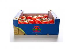 Logo # 905119 voor Ontwerp een fris en modern logo voor een duurzame en innovatieve tomatenteler wedstrijd