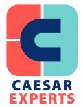 Logo # 517299 voor Caesar Experts logo design wedstrijd