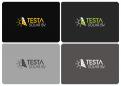 Logo design # 853059 for Logo Testa Solar contest